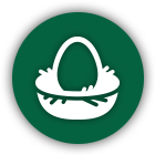 circle